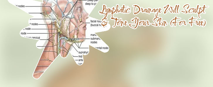 Lymphatic drainage of face and neck